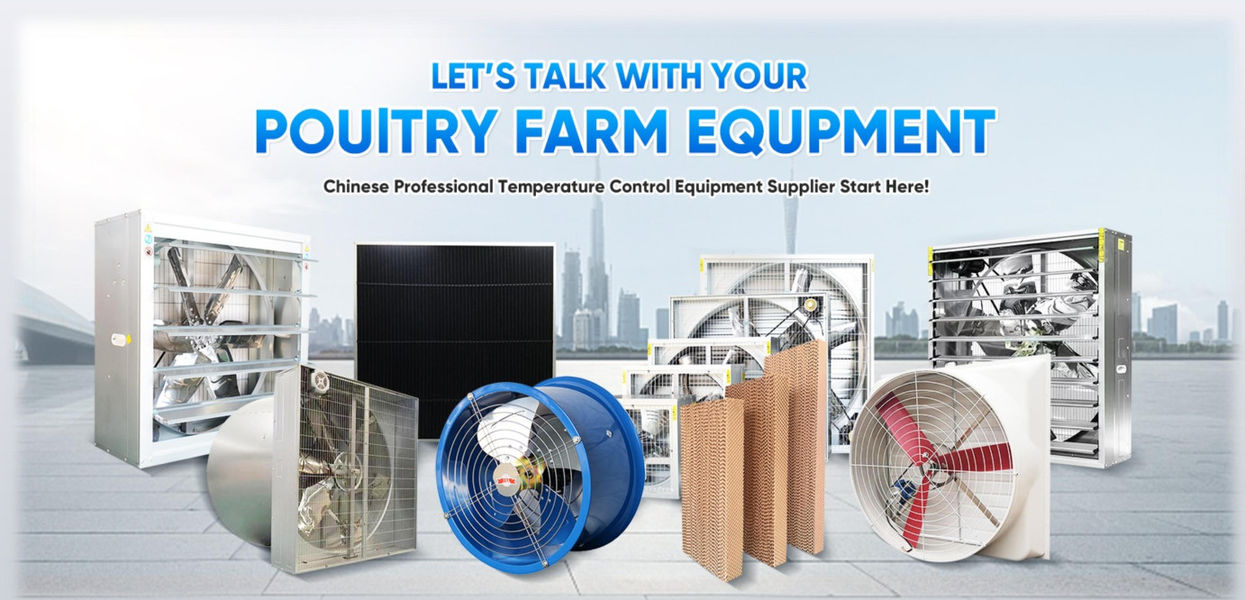 Shandong Xingmuyuan Agriculture and Animal Husbandry Technology Co.,ltd Produktionslinie des Herstellers